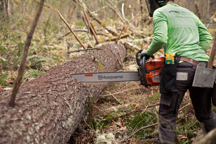 Husqvarna 585 (6)
