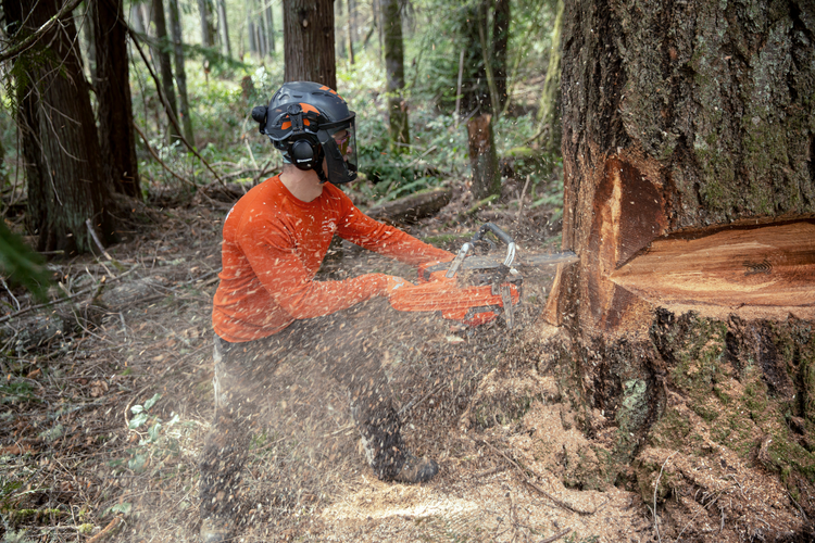 Husqvarna 585 (7)